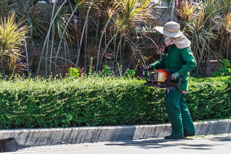 Shrub Trimming Service
