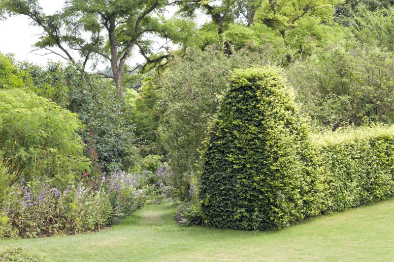 Reduces pest habitats