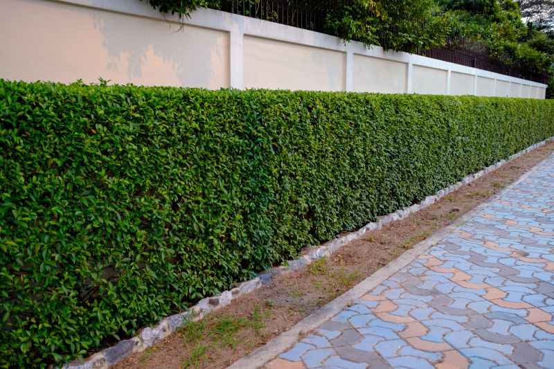 Prevents overgrowth issues