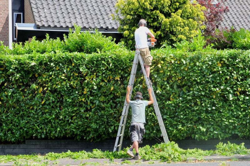 Contact About Hedge Removal