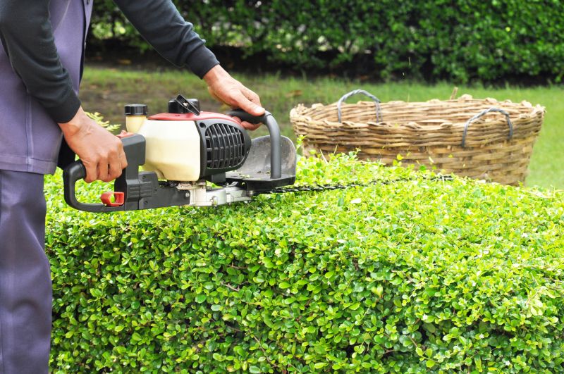 Top Rated Hedge Removal Products