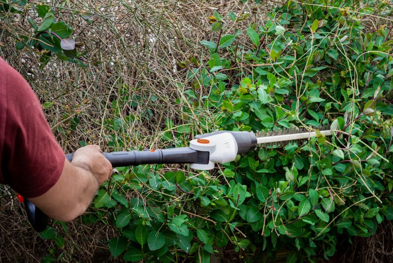 Hedge Removal