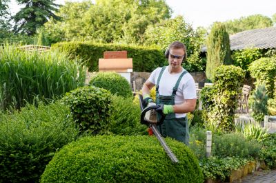 Professional Landscape Services