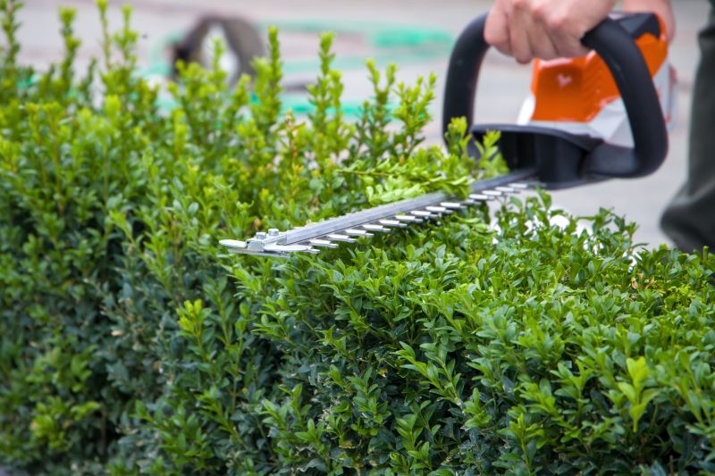 Specialized Hedge Removal Experts